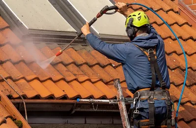 Démoussage et hydrofuge de toiture à la Bellière